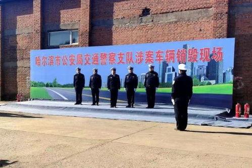 哈尔滨中学爆料案件最新,揭开校园安全隐秘面纱  第2张