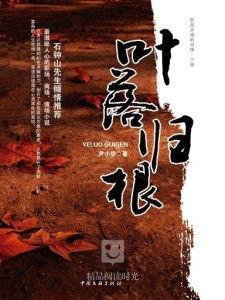 叶落归根在线观看,寻根之旅,情感共鸣的视觉盛宴 第1张 叶落归根在线观看,寻根之旅,情感共鸣的视觉盛宴 第1张